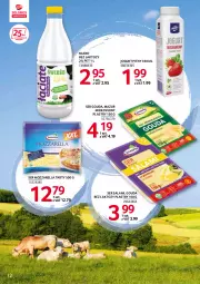 Gazetka promocyjna Selgros - Katalog Markowe Produkty - Gazetka - ważna od 16.02 do 16.02.2022 - strona 12 - produkty: Mozzarella, Ser, Mleko bez laktozy, Salami, Jogurt, Ser salami, Gouda, Jogurt pitny, Mleko