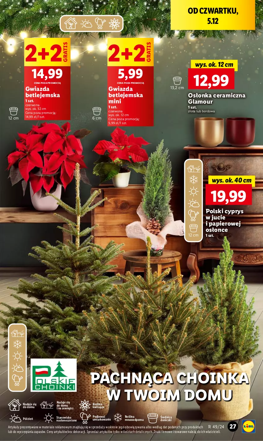 Gazetka promocyjna Lidl - GAZETKA - ważna 05.12 do 07.12.2024 - strona 29 - produkty: Choinka, Cień, Gra, Gwiazda, Inka, O nas, Osłonka, Papier, Por