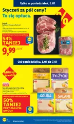 Gazetka promocyjna Lidl - GAZETKA - Gazetka - ważna od 07.01 do 07.01.2026 - strona 2 - produkty: Ser, Salami, Karkówka wieprzowa, Cars, Pilos, Gouda
