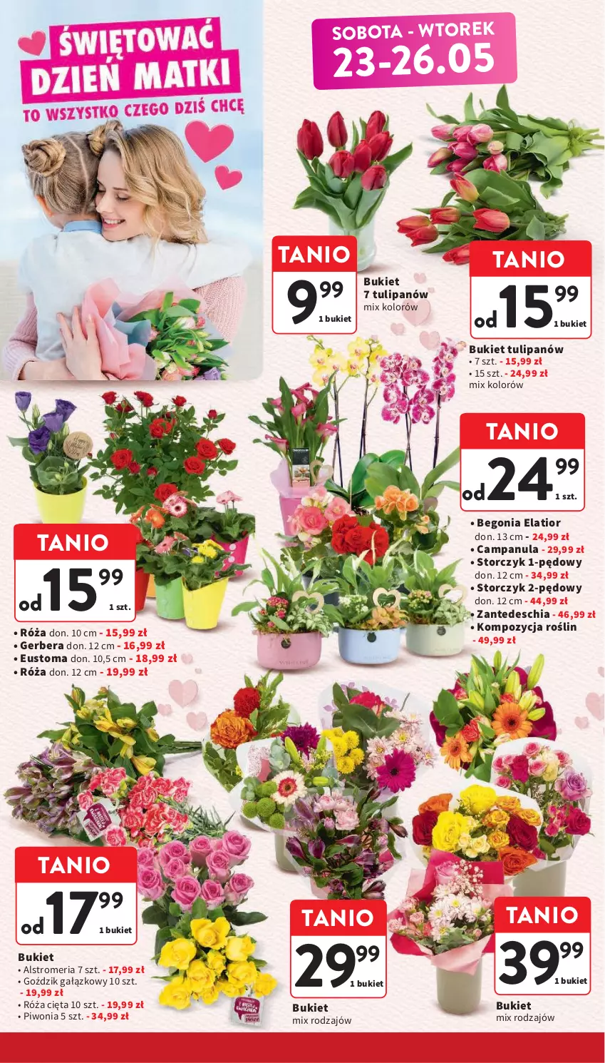 Gazetka promocyjna Intermarche - Gazetka Intermarche - ważna 21.05 do 27.05.2026 - strona 6 - produkty: Bukiet, Campanula, Chia, Gerber, Piwo, Róża, Storczyk, Tulipan