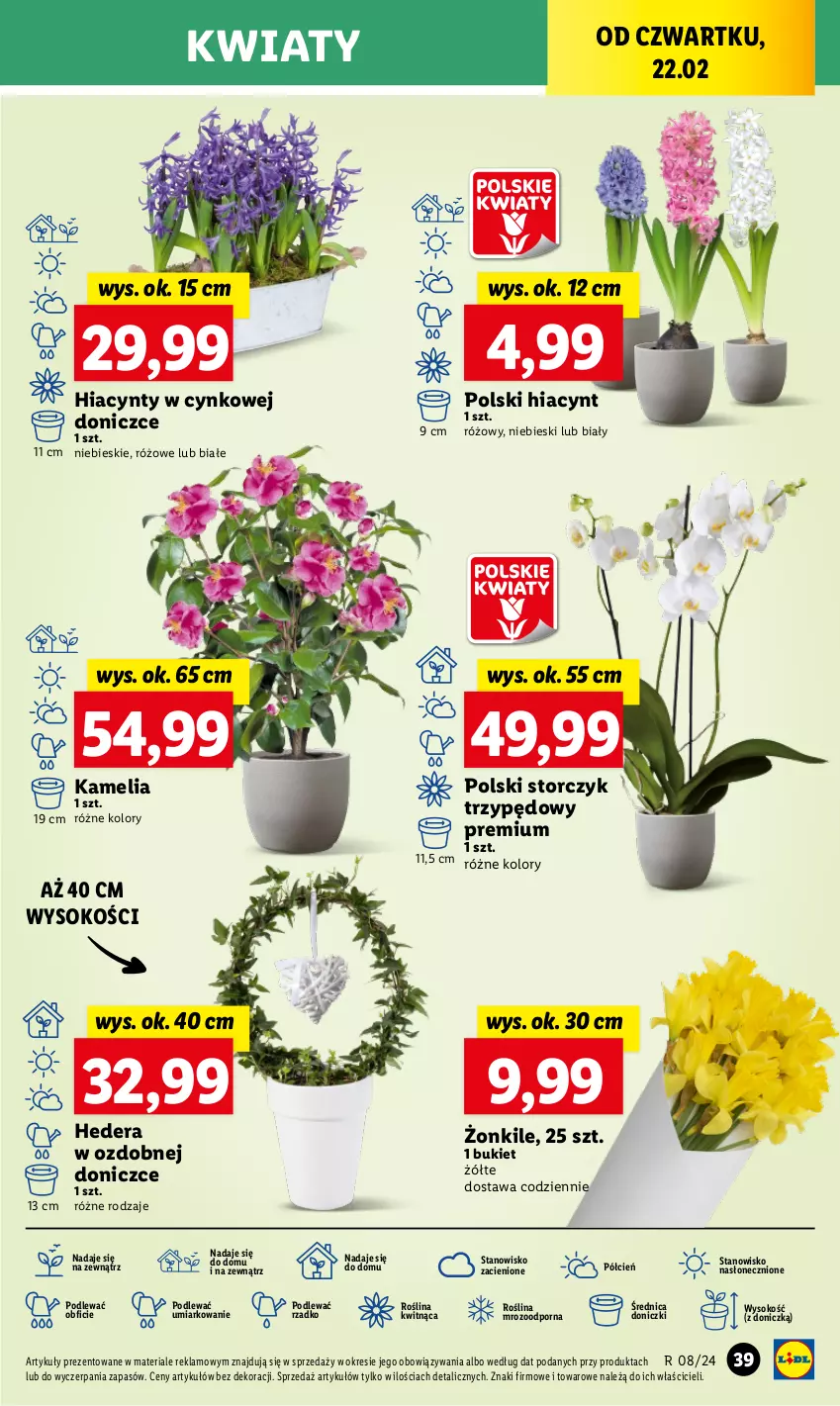 Gazetka promocyjna Lidl - GAZETKA - ważna 22.02 do 24.02.2024 - strona 51 - produkty: Bukiet, Cień, Cynk, Hiacynt, O nas, Por, Sok, Storczyk