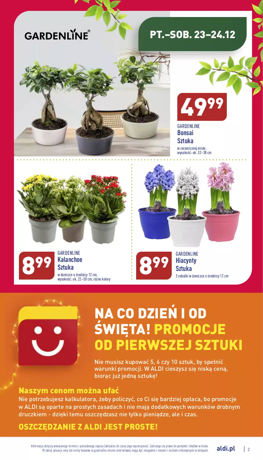 Gazetka promocyjna Aldi - Zaplanuj zakupy wcześniej - ważna 21.12 do 24.12.2022 - strona 2 - produkty: Fa, Hiacynt, Kalanchoe, Mus, Sok