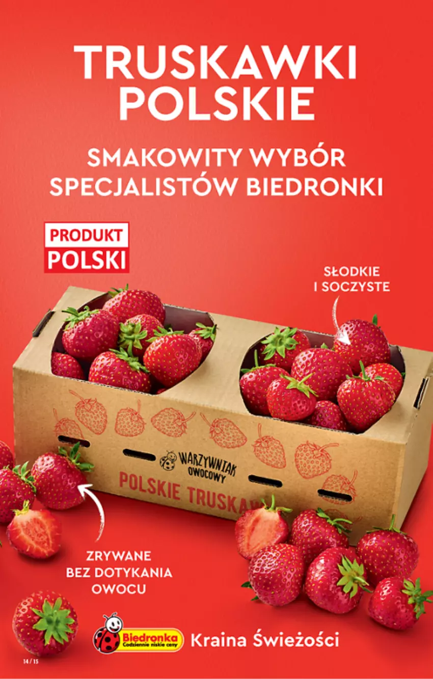 Gazetka promocyjna Biedronka - ważna 09.06 do 15.06.2022 - strona 14 - produkty: Dron, Truskawki