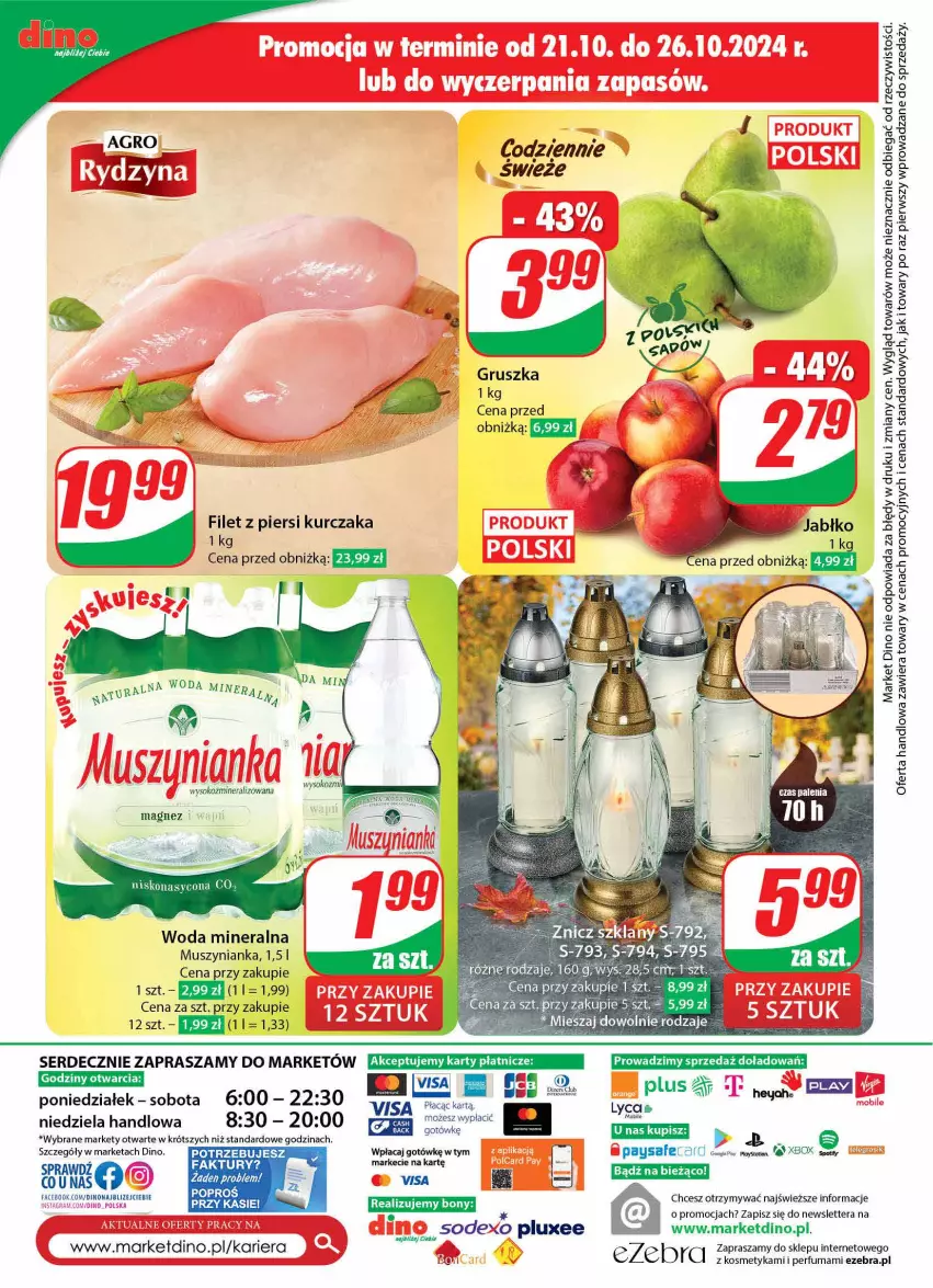 Gazetka promocyjna Dino - Gazetka 43 / 2024 - ważna 23.10 do 29.10.2024 - strona 73 - produkty: Fa, Filet z piersi kurczaka, JBL, Kurczak, Magnez, Mobil, Mus, Muszynianka, Perfum, Ser, Sok, Tera, Woda, Woda mineralna