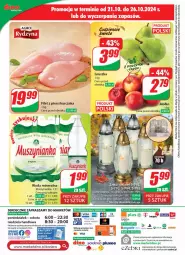 Gazetka promocyjna Dino - Gazetka 43 / 2024 - Gazetka - ważna od 29.10 do 29.10.2024 - strona 73 - produkty: Kurczak, Sok, Ser, Mus, JBL, Filet z piersi kurczaka, Perfum, Tera, Muszynianka, Woda mineralna, Woda, Magnez, Mobil, Fa