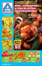 Gazetka promocyjna Aldi - Farmer ALDIK poleca świeże owoce i warzywa - Gazetka - ważna od 24.12 do 24.12.2024 - strona 1 - produkty: Mandarynki, Banany, Cebula, Kaki, Pomarańcze, Pomidory