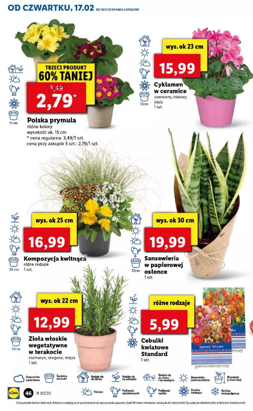 Gazetka promocyjna Lidl - GAZETKA - ważna 17.02 do 19.02.2022 - strona 46 - produkty: Koc, Mięta, Papier, Prymula, Sok, Tera