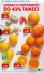 Gazetka promocyjna Lidl - GAZETKA - Gazetka - ważna od 19.02 do 19.02.2022 - strona 7 - produkty: Sok, Por, Czosnek, Cytryny, Pomarańcze, LUSTi, Imbir