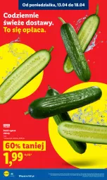 Gazetka promocyjna Lidl - Gazetka ważna od 13.04 do 15.04 - Gazetka - ważna od 15.04 do 15.04.2026 - strona 32 - produkty: Ogórek