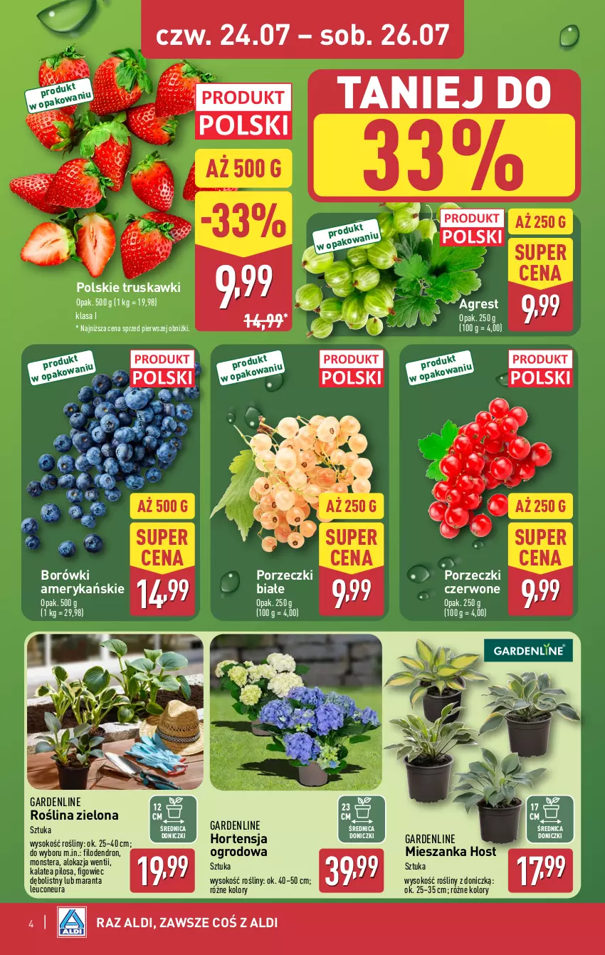 Gazetka promocyjna Aldi - Oferta weekendowa - ważna 24.07 do 26.07.2025 - strona 4 - produkty: Dron, Gres, Pilos, Por, Porzeczki czerwone, Sok, Tera, Truskawki