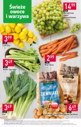 Gazetka promocyjna Stokrotka - Market - Gazetka - ważna od 28.02 do 28.02.2024 - strona 8 - produkty: Warzywa, Por, Cytryny, Ziemniaki, Winogrona, Owoce, Seler naciowy, Wino, Mięso