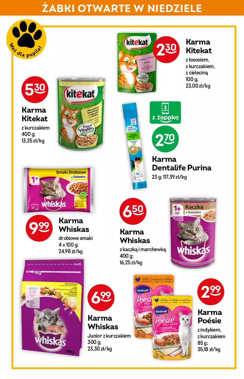 Gazetka promocyjna Żabka - ważna 16.03 do 22.03.2022 - strona 48 - produkty: KiteKat, Kurczak, Pur, Purina, Sos, Whiskas