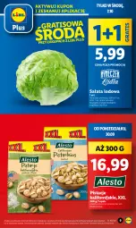 Gazetka promocyjna Lidl - GAZETKA - Gazetka - ważna od 02.10 do 02.10.2024 - strona 11 - produkty: Pistacje, Gra, Sałata lodowa, Sałat