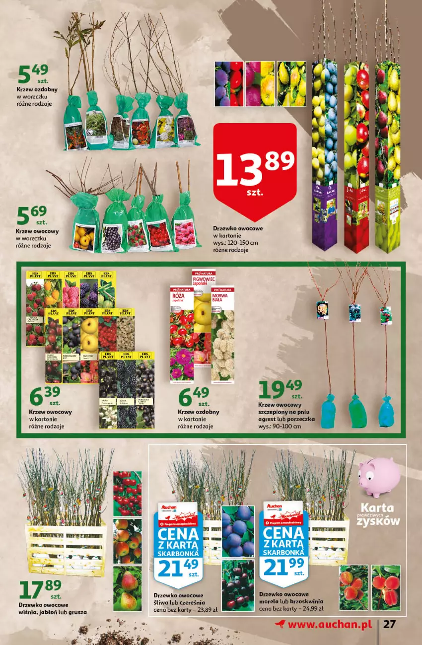 Gazetka promocyjna Auchan - przeNISKIE CENY prze smacznego Dnia Kobiet Hipermarkety - ważna 03.03 do 09.03.2022 - strona 27 - produkty: Gres, Morela, Por