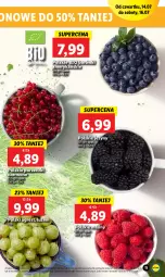 Gazetka promocyjna Lidl - GAZETKA - Gazetka - ważna od 16.07 do 16.07.2022 - strona 11 - produkty: Por, Jeżyny, Porzeczki czerwone, Maliny, Gres