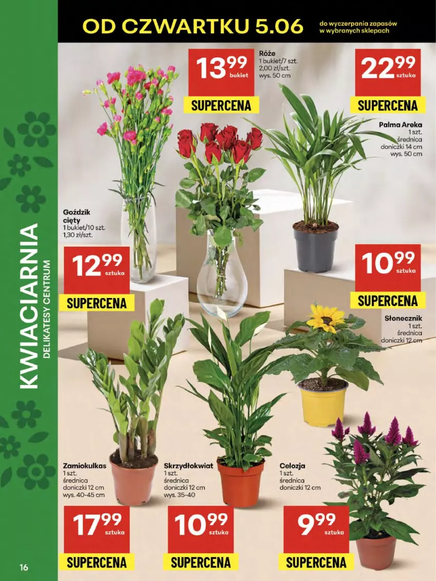 Gazetka promocyjna Delikatesy Centrum - Franczyza DC23 Czwartek - ważna 05.06 do 11.06.2025 - strona 16 - produkty: Bukiet, Palma