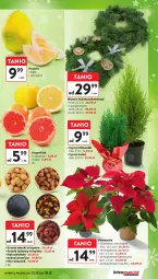 Gazetka promocyjna Intermarche - Gazetka Intermarche - Gazetka - ważna od 18.12 do 18.12.2024 - strona 19 - produkty: Gra, Pomelo