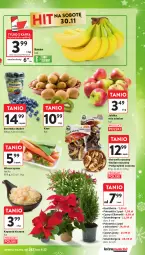 Gazetka promocyjna Intermarche - Gazetka Intermarche - Gazetka - ważna od 04.12 do 04.12.2024 - strona 25 - produkty: Borówka, Szlumbergera, Kiwi, Jabłka