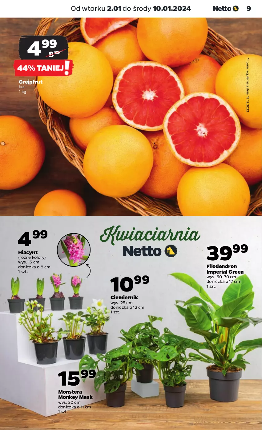 Gazetka promocyjna Netto - Artykuły spożywcze - ważna 02.01 do 10.01.2024 - strona 9 - produkty: Dron, Grejpfrut, Hiacynt, Tera