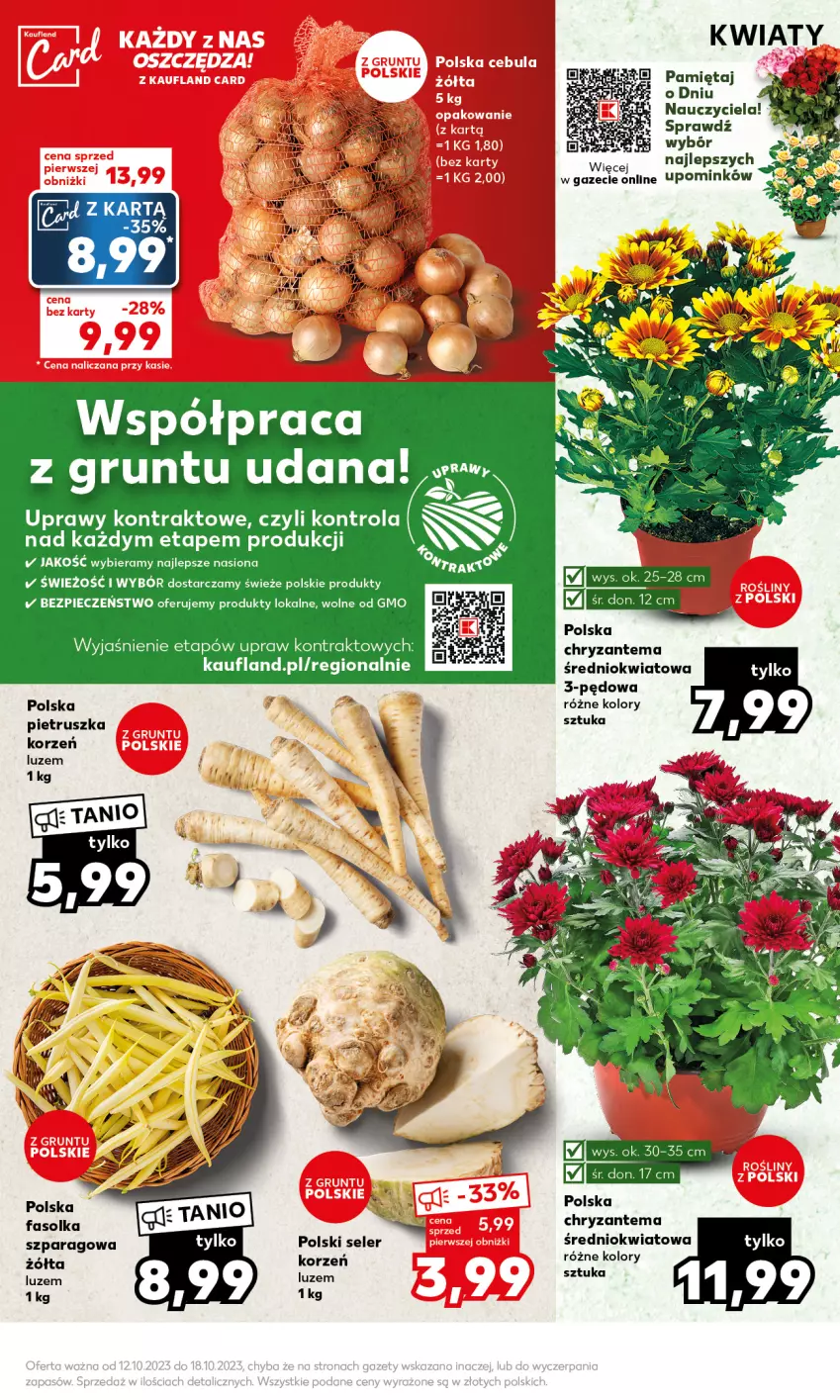 Gazetka promocyjna Kaufland - Mocny Start - ważna 16.10 do 18.10.2023 - strona 5 - produkty: Chryzantema, Fa, Grunt, Mięta, Piec, Pietruszka