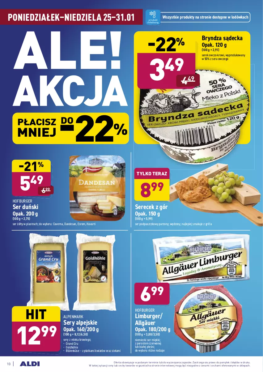 Gazetka promocyjna Aldi - ALE! CENA w ALDI - ważna 25.01 do 31.01.2021 - strona 10 - produkty: Bryndza, Burger, Gra, Grill, Havarti, Hofburger, LG, Limburger, Lodówka, Por, Ser, Serek, Tera