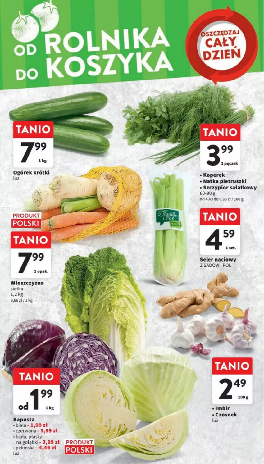 Gazetka promocyjna Intermarche - ważna 23.11 do 29.11.2023 - strona 19 - produkty: Czosnek, Imbir, Natka pietruszki, Ogórek, Sałat, Seler naciowy, Siatka