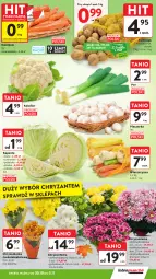 Gazetka promocyjna Intermarche - Gazetka Intermarche - Gazetka - ważna od 05.11 do 05.11.2025 - strona 15 - produkty: Piec, Por, Chryzantema, Pieczarka, Bukiet