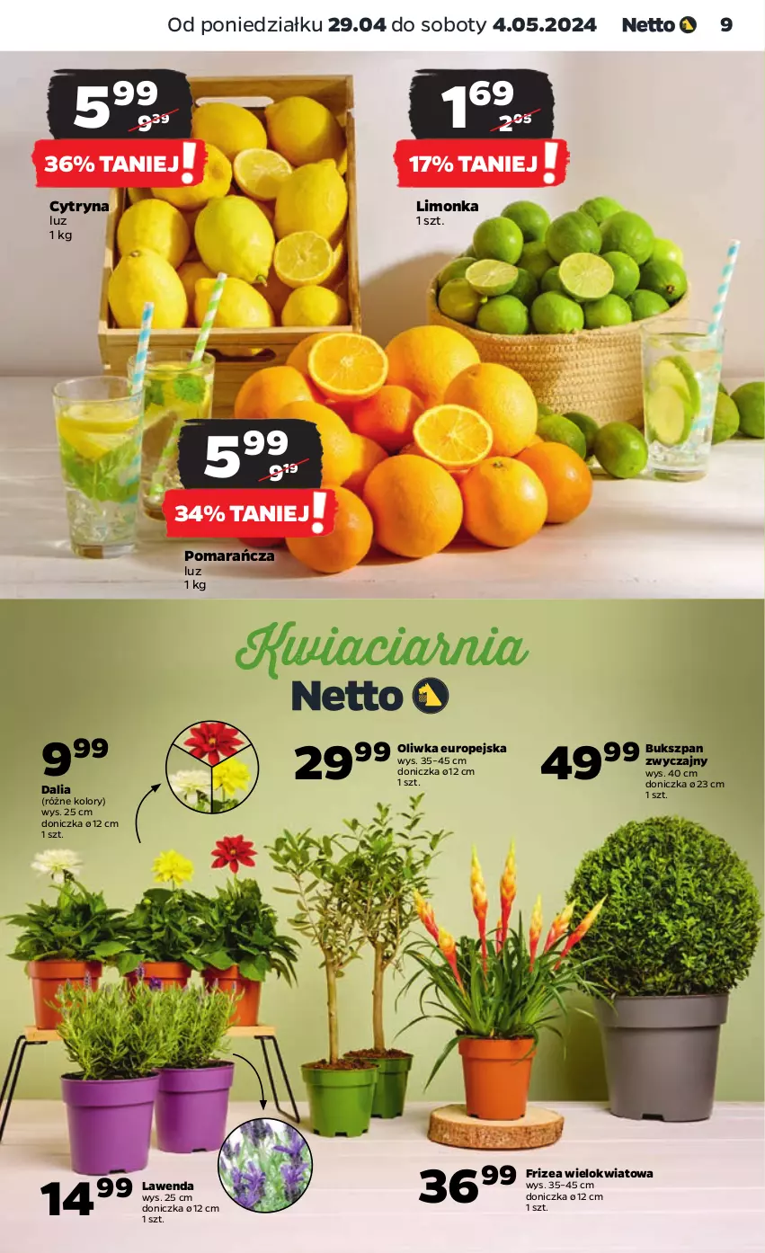 Gazetka promocyjna Netto - Artykuły spożywcze - ważna 29.04 do 04.05.2024 - strona 9 - produkty: Limonka