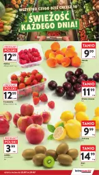 Gazetka promocyjna Intermarche - Gazetka Intermarche - Gazetka - ważna od 29.07 do 29.07.2026 - strona 7 - produkty: Morela, Kiwi