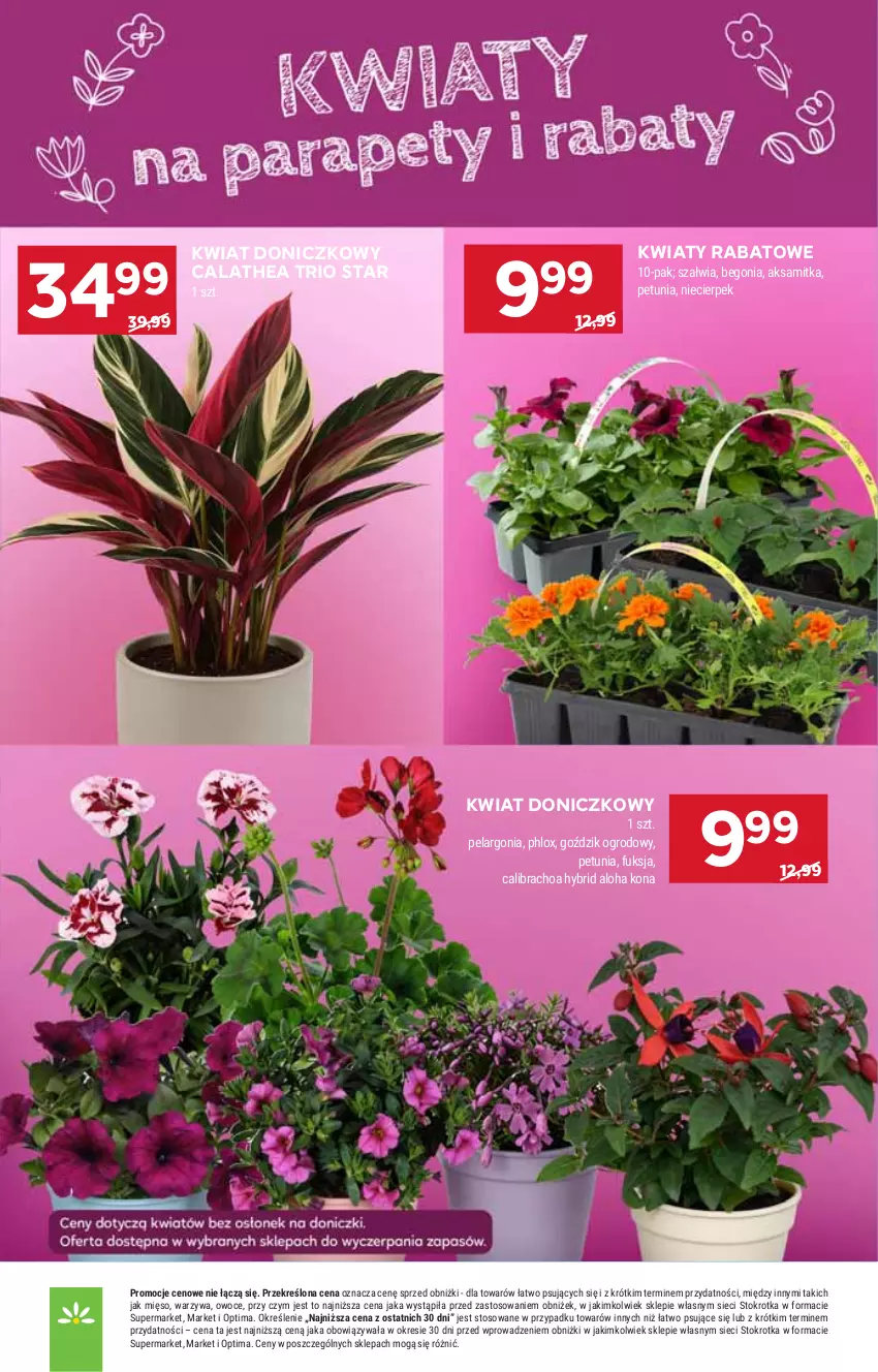 Gazetka promocyjna Stokrotka - Supermarket - ważna 16.04 do 22.04.2026 - strona 7 - produkty: HP