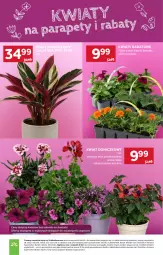 Gazetka promocyjna Stokrotka - Supermarket - Gazetka - ważna od 22.04 do 22.04.2026 - strona 7 - produkty: HP
