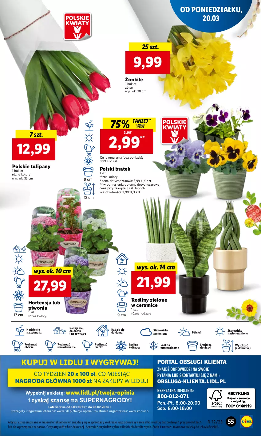 Gazetka promocyjna Lidl - GAZETKA - ważna 20.03 do 22.03.2023 - strona 63 - produkty: Bukiet, Cień, Gry, Mola, O nas, Piwo, Por, Sok, Tulipan