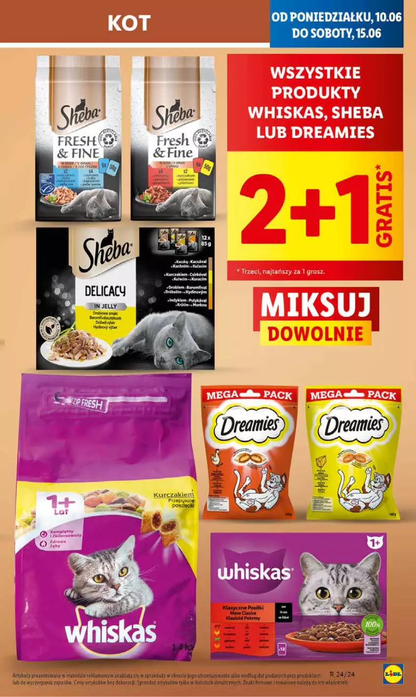 Gazetka promocyjna Lidl - GAZETKA - ważna 10.06 do 12.06.2024 - strona 67 - produkty: Kurczak, LG, Por