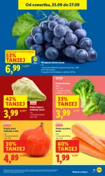 Gazetka promocyjna Lidl - GAZETKA - Gazetka - ważna od 27.09 do 27.09.2025 - strona 17 - produkty: Winogrona, Brokuły, Wino
