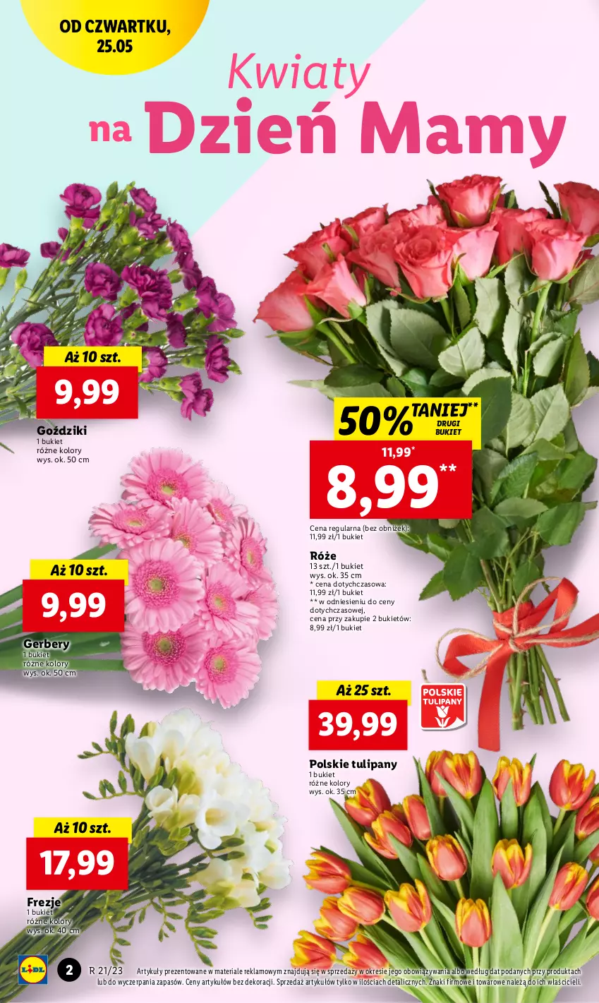 Gazetka promocyjna Lidl - GAZETKA - ważna 25.05 do 27.05.2023 - strona 2 - produkty: Bukiet, Gerber, Storczyk, Tulipan