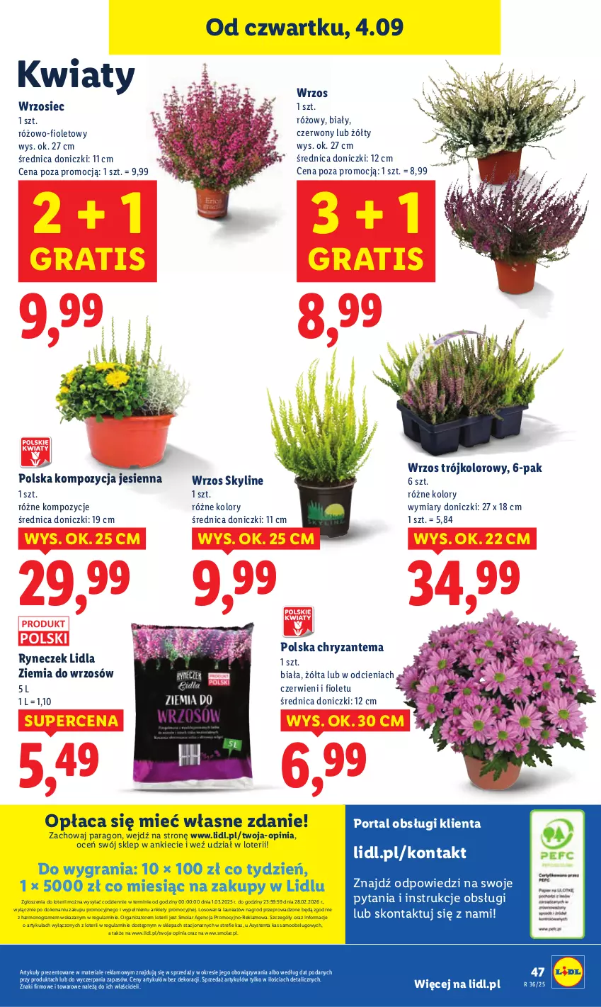 Gazetka promocyjna Lidl - GAZETKA - ważna 04.09 do 06.09.2025 - strona 56 - produkty: Chryzantema, Gra, Laur, Mola, Por, Portal
