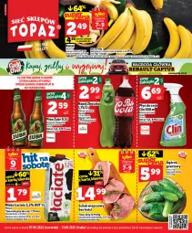 Gazetka promocyjna Topaz - Gazetka - Gazetka - ważna od 13.05 do 13.05.2026 - strona 1 - produkty: Piwa, Gra