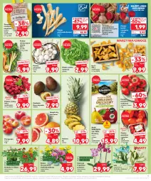 Gazetka promocyjna Kaufland - Gazetka tygodnia - Gazetka - ważna od 13.08 do 13.08.2024 - strona 5 - produkty: Piec, Warzywa, Sok, Sałata masłowa, Pietruszka, Róża, Chryzantema, Ananas, Ziemniaki, Sałat, Storczyk, Maliny, Buraki, Owoce, Grunt, Masło, Pomidory, Grejpfrut