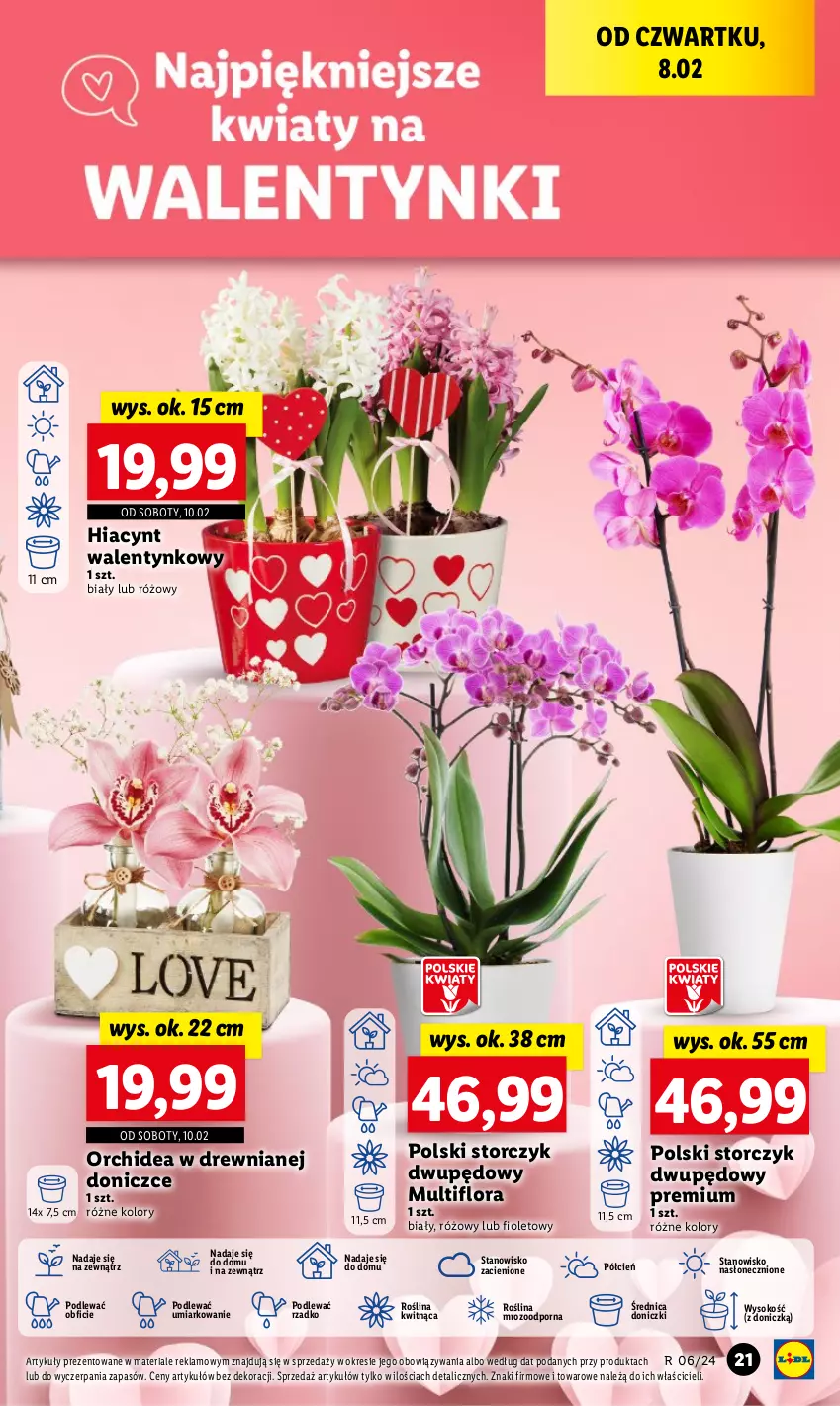 Gazetka promocyjna Lidl - GAZETKA - ważna 08.02 do 10.02.2024 - strona 25 - produkty: Cień, Flora, Hiacynt, O nas, Por, Sok, Storczyk