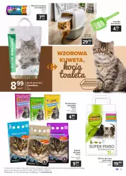 Gazetka promocyjna Carrefour - Gazetka Dla przyjaciół wszystko mamy - Gazetka - ważna od 27.02 do 27.02.2021 - strona 9 - produkty: Jan Niezbędny, Koc, Super Pinio, Kuweta