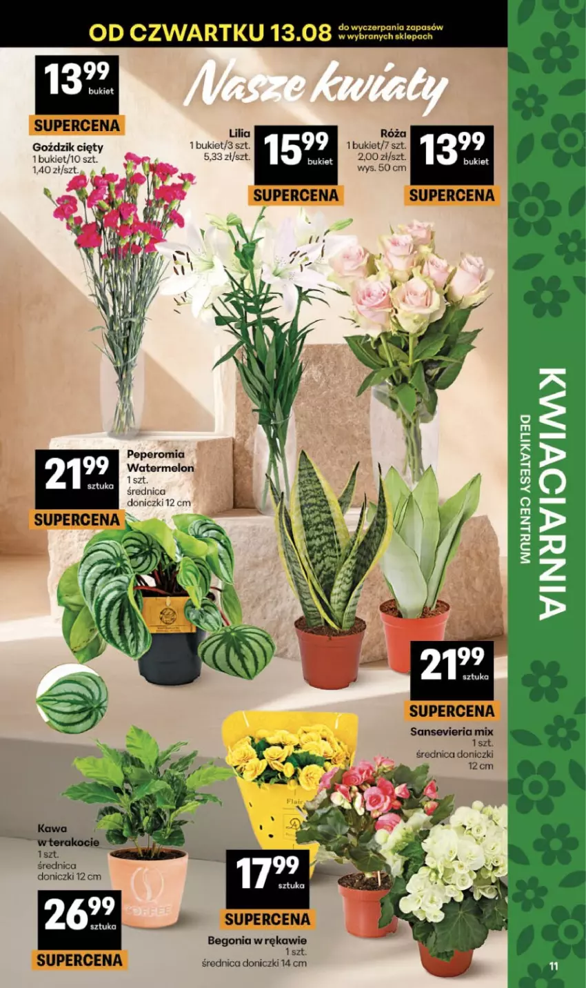 Gazetka promocyjna Delikatesy Centrum - Franczyza DC33 Czwartek - ważna 13.08 do 19.08.2026 - strona 11 - produkty: Bukiet, HP, Melon
