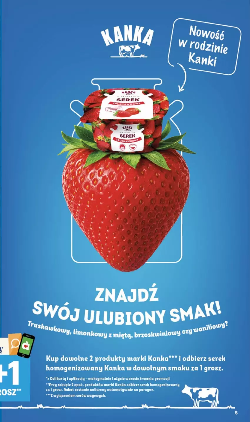 Gazetka promocyjna Delikatesy Centrum - Franczyza DC33 Czwartek - ważna 13.08 do 19.08.2026 - strona 5 - produkty: Ser, Serek