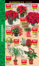 Gazetka promocyjna Delikatesy Centrum - Franczyza DC50 Czwartek - Gazetka - ważna od 17.12 do 17.12.2025 - strona 38 - produkty: Top, Gwiazda, Bukiet