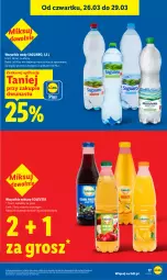 Gazetka promocyjna Lidl - Gazetka ważna od 26.03 do 29.03 - Gazetka - ważna od 29.03 do 29.03.2026 - strona 17 - produkty: Nektar