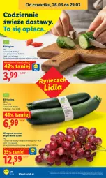 Gazetka promocyjna Lidl - Gazetka ważna od 26.03 do 29.03 - Gazetka - ważna od 29.03 do 29.03.2026 - strona 28 - produkty: Ogórek, Winogrona, Wino