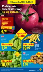 Gazetka promocyjna Lidl - Gazetka ważna od 18.06 do 20.06 - Gazetka - ważna od 20.06 do 20.06.2026 - strona 37 - produkty: Gra, Ziemniaki, Fasola, Fasola szparagowa, Olej, Pomidory, Fa