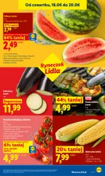 Gazetka promocyjna Lidl - Gazetka ważna od 18.06 do 20.06 - Gazetka - ważna od 20.06 do 20.06.2026 - strona 41 - produkty: Gra, Arbuz, Olej, Pomidory, Kukurydza