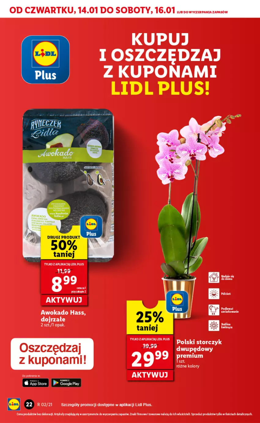 Gazetka promocyjna Lidl - GAZETKA - ważna 14.01 do 16.01.2021 - strona 22