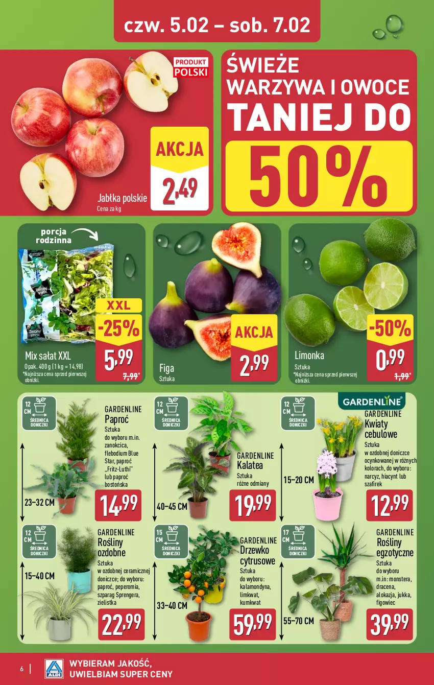 Gazetka promocyjna Aldi - Oferta weekendowa - ważna 05.02 do 07.02.2026 - strona 6 - produkty: Cynk, Hiacynt, Jabłka, Kumkwat, Limonka, Narcyz, Owoce, Por, Sałat, Tera, Warzywa, Warzywa i owoce