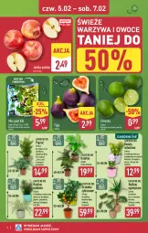 Gazetka promocyjna Aldi - Oferta weekendowa - Gazetka - ważna od 07.02 do 07.02.2026 - strona 6 - produkty: Warzywa, Por, Hiacynt, Warzywa i owoce, Cynk, Kumkwat, Tera, Sałat, Limonka, Narcyz, Owoce, Jabłka